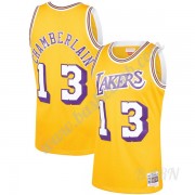 Billige Basketball Trøje Børn Los Angeles Lakers 1971-72 Wilt Chamberlain 13# Guld Hardwood Classics..